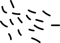 03_garabato