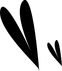 04_garabato